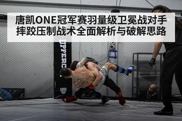 MMA cage grappling